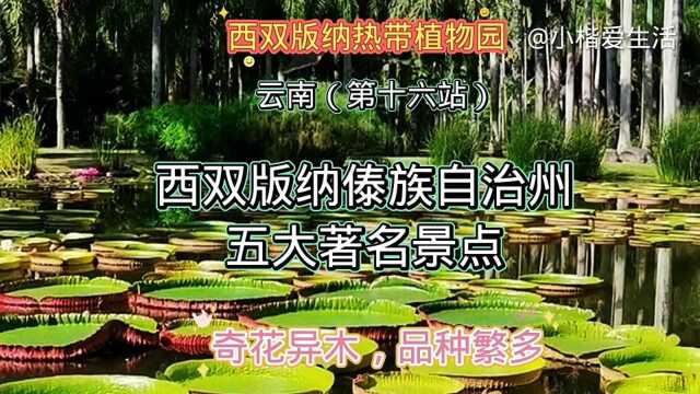 云南(第十六站)西双版纳傣族自治州五大著名景点,看看你来过几个