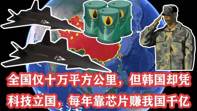 全国仅十万平方公里,但韩国却凭科技立国,每年靠芯片赚我国千亿