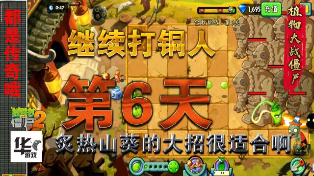 pvz2中文版:炙热山葵第六天 继续打铜人 炙热山葵大招很适合啊!