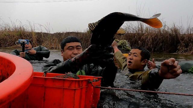 大战黄河神秘沉沙池,竟然用脚抓“巨物”,出水那一幕不可思议