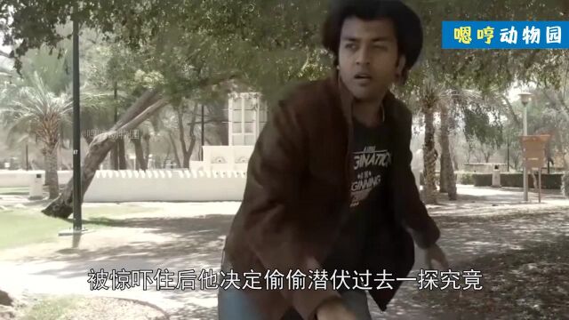 成功逃脱后的小伙,再次陷入危机,还没刚解决,差点命丧黄泉!