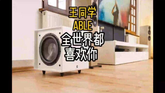 王同学Able《全世界都喜欢你》 DJ歌词版