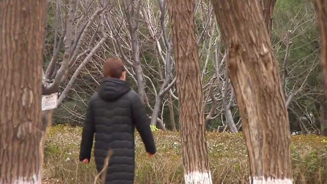 北京今天有雨或雨夹雪 最高气温降至5摄氏度