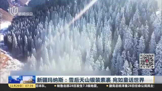 新疆玛纳斯:雪后天山银装素裹 宛如童话世界