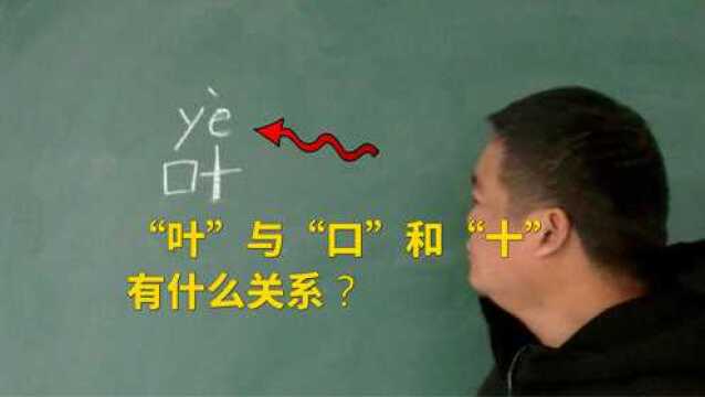 树叶的“叶”与“口”“十”有什么关系?