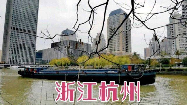 浙江省,杭州市拱墅区、上城区、杭州余杭区