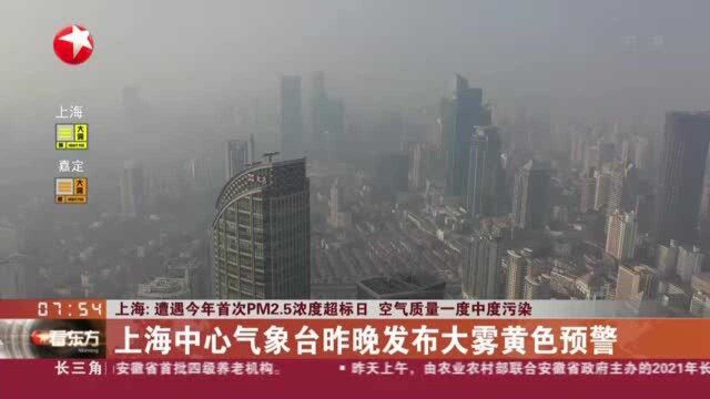 上海:遭遇今年首次PM2.5浓度超标日 空气质量一度中度污染——上海中心气象台昨晚发布大雾黄色预警