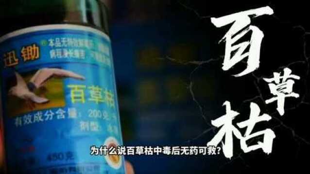 被国人喝到停产的王者农药“百草枯”