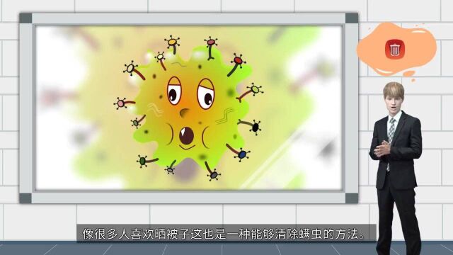 喜鹊登门除螨丨教你怎样对付螨虫