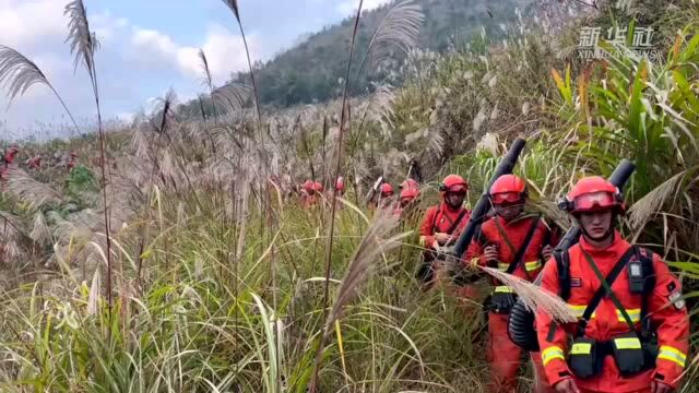 广西蒙山森林火灾已全线扑灭