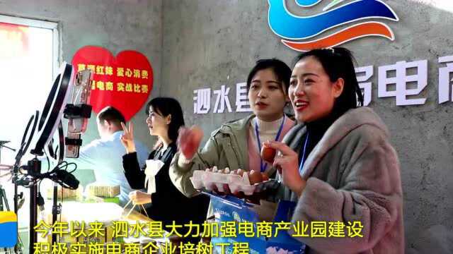 电商产业助力经济社会高质量发展 泗水县1至11月全县网络零售额达到10.51亿