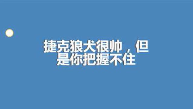 宠物科普!捷克狼犬很帅,但是你把握不住