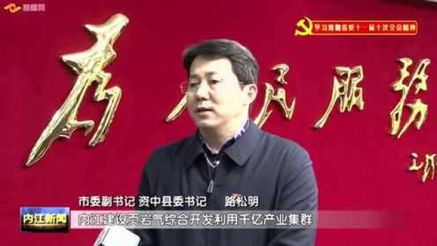 资中县:发展绿色低碳优势产业 激发区域发展新活力