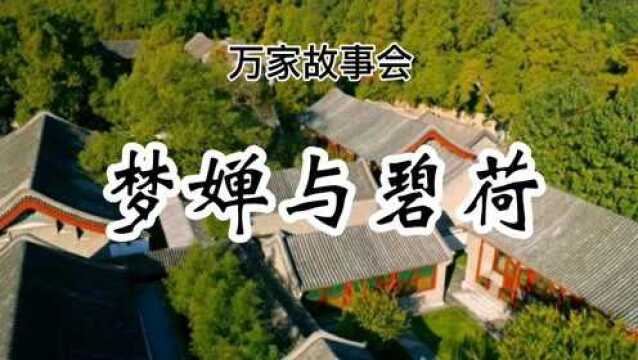 万家故事会《梦婵与碧荷》#民间故事 #故事 #传说