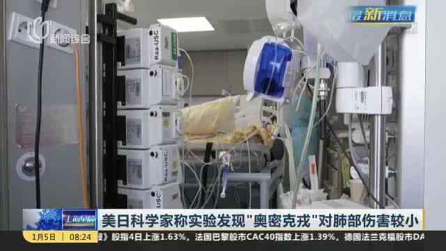 美日科学家称实验发现“奥密克戎”对肺部伤害较小