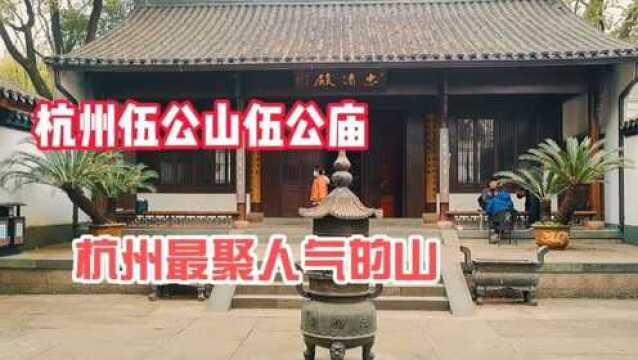 杭州最聚人气的山伍公山,伍公庙为纪念吴子胥所建,死的太凄惨!