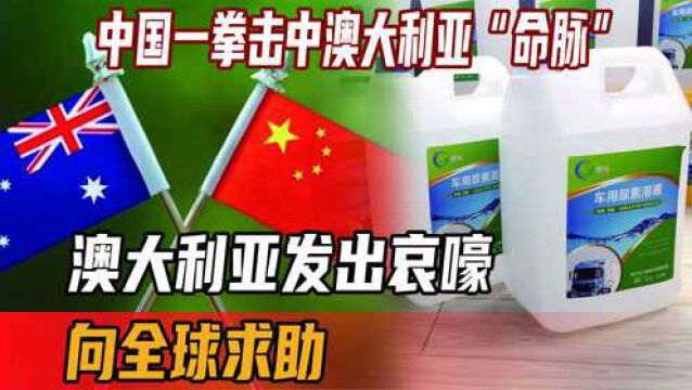 中国一拳击中澳大利亚“命脉”,澳大利亚发出哀嚎,向全球求助