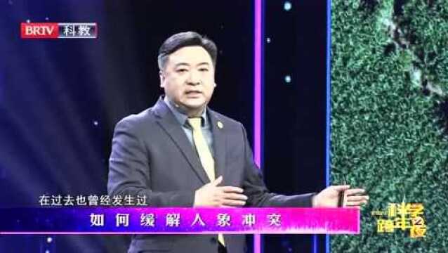 专家演讲 | 保护生物多样性:从一路“象”北说起