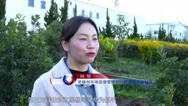 【学习贯彻省第十一次党代会精神】楚雄州培育壮大市场主体,激发市场活力