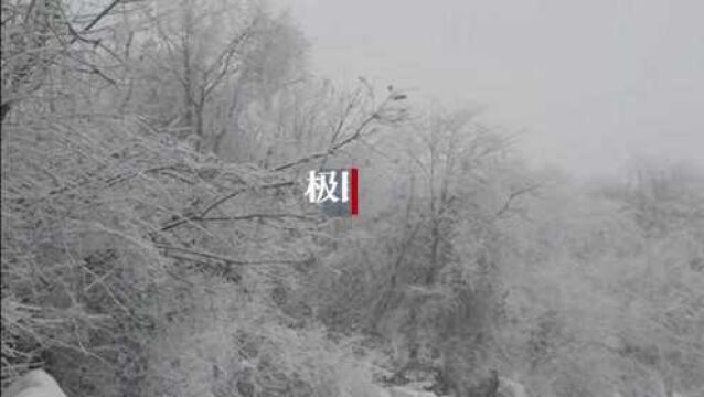 【视频】踏雪巡线:确保3670公里三峡电力外送及华中电网西电东送线路的安全