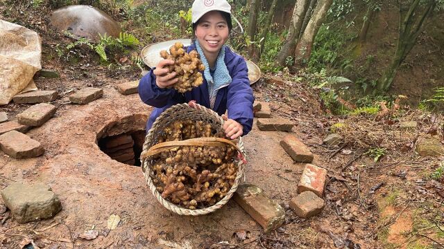 农村地窖储藏小黄姜,小秀拿生姜发给网友,看看这生姜怎么样?