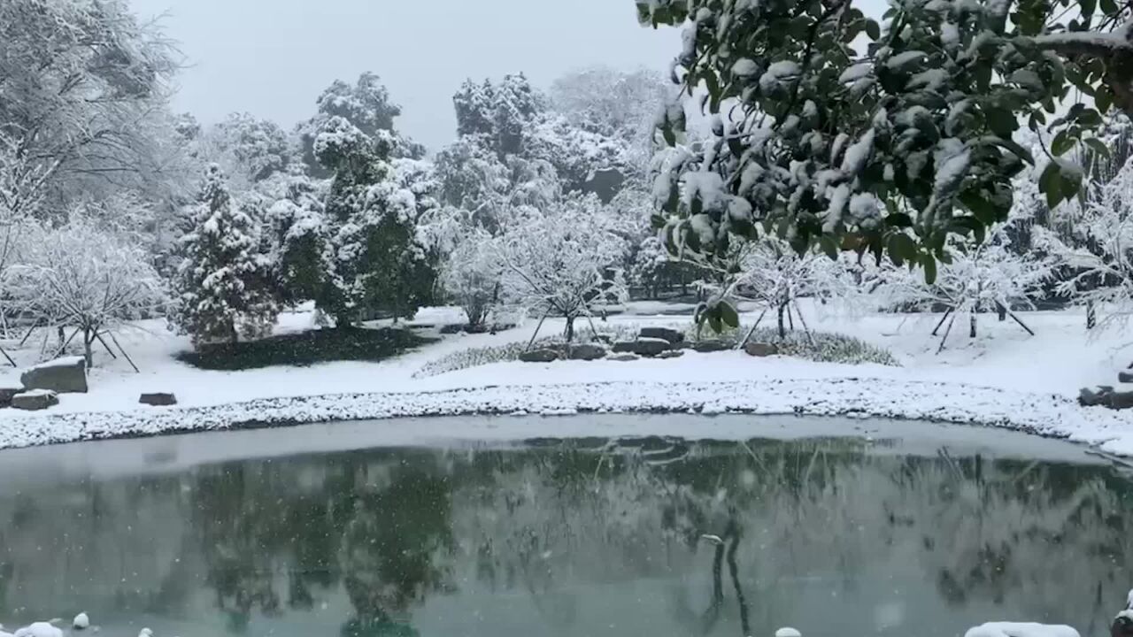 绝美!一夜大雪,游客早起到东湖听涛景区赏景玩雪