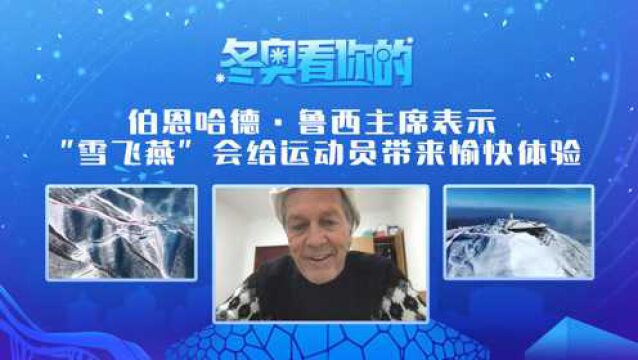 【冬奥看你的】高山滑雪委员会主席:当我站在“雪飞燕”的山顶,我仿佛看到了整个中国