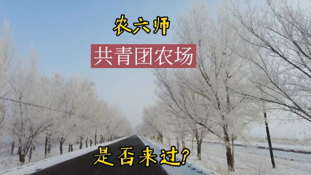 新疆兵团农六师:共青团农场,实拍街道~市场~学校~连队~航拍