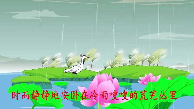 唐诗三百首 鹭 郑谷