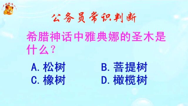 公务员常识判断,希腊神话中雅典娜的圣木是什么?长见识啦