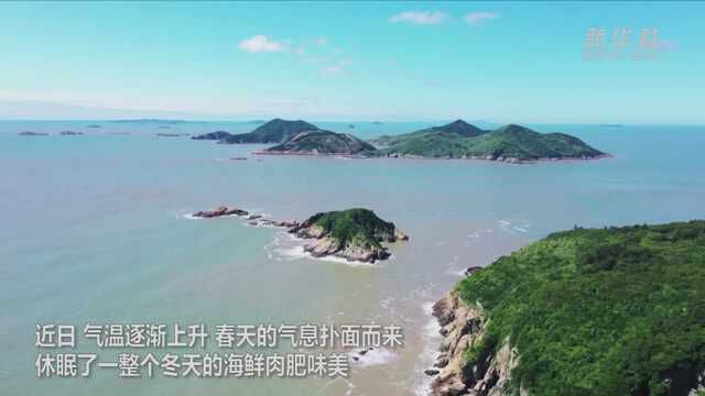 春季海鲜大量上市 味美生鲜正恰时