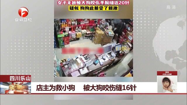 四川女子店内烤火,大狗突然冲进店内咬小狗,女子被咬伤缝16针