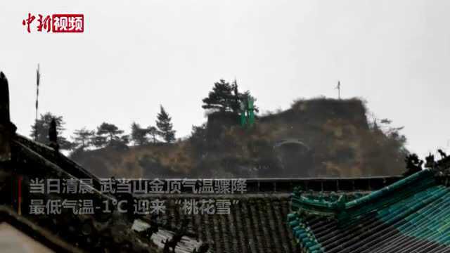 湖北武当山下起“桃花雪”