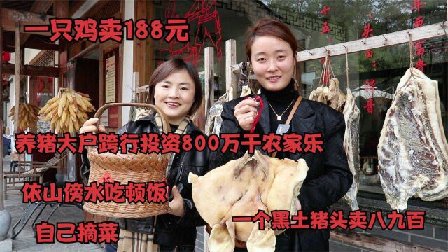 安徽夫妻投资800万做农家乐,一只鸡188猪头800多,这顿饭值不值