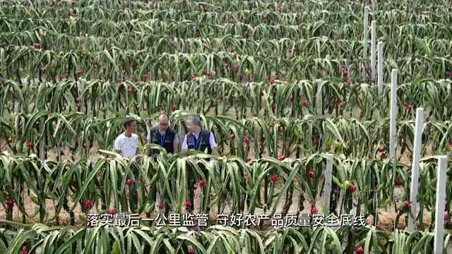 奋进新征程 建功新时代丨高要区以网格化移动监管新模式 推进国家农产品质量安全县创建