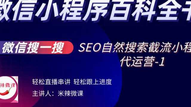 微信搜一搜小程序seo代运营训练营01