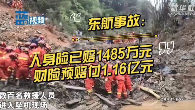 东航事故:人身险已赔付1485万元,财险预赔付1.16亿元