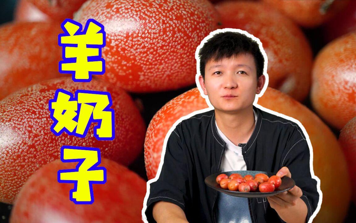 【水果猎人】叫羊奶的果子什么味儿?涩到飞起