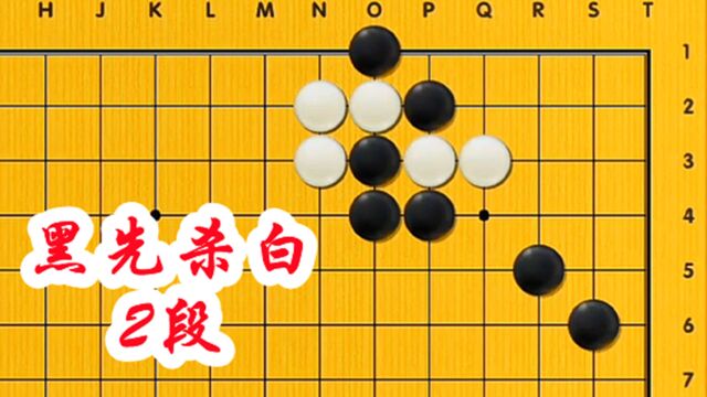 【围棋直播课】23段班 黑先杀白