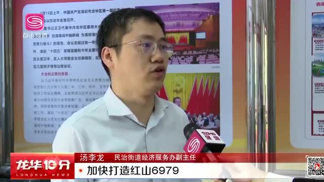 项目解析龙华区大浪街道龙平社区中海学仕里