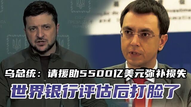 乌总统:请援助我们5500亿美元弥补损失,世界银行评估后打脸了