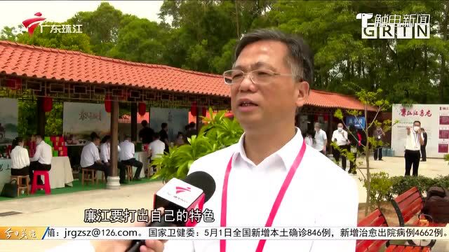 湛江廉江:小茶叶助力乡村振兴大产业