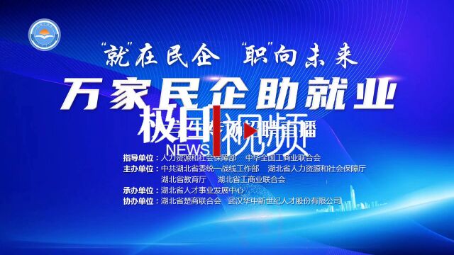 【视频】民营企业招聘月,大学生网上招聘专场活动启动