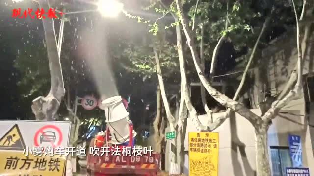 提前吹落“毛毛雨”!南京夜战法桐飘絮