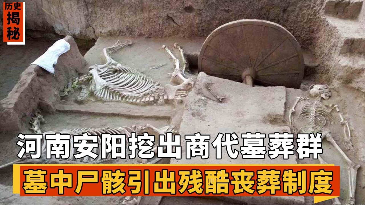 河南安阳挖出商代墓葬群,墓中死状凄惨殉人,引出罪恶丧葬制度