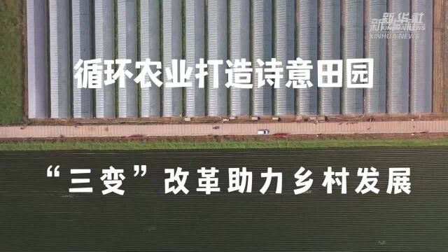 新华全媒+|循环农业打造诗意田园 “三变”改革助力乡村发展