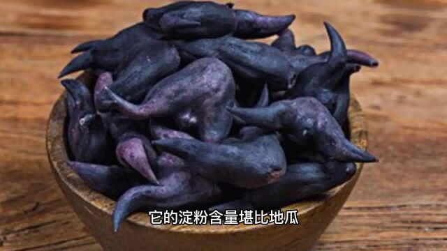 糖尿病不能吃瓜子?医生坦言:不想胰岛“破洞”,2种食物趁早远离