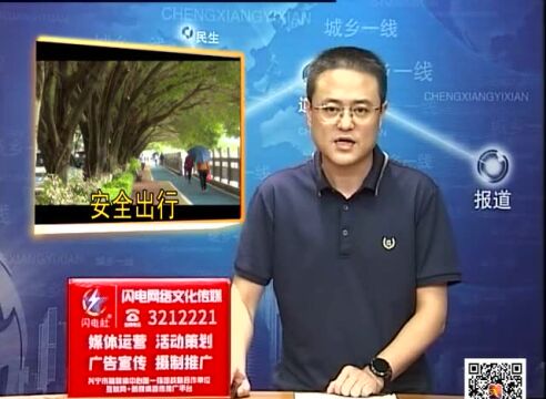 兴宁持续降雨路树易倒伏,市民出行要注意