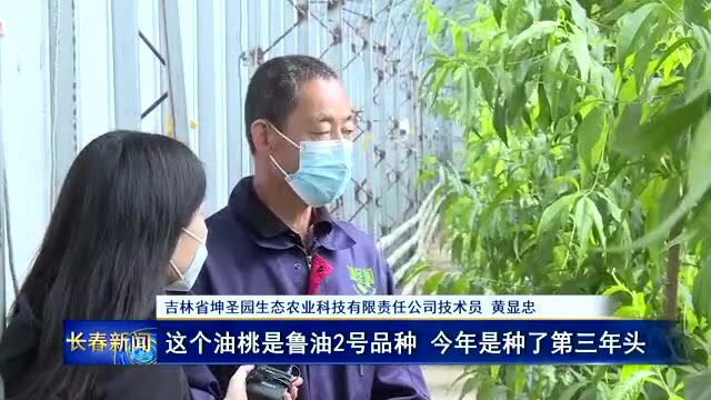 公主岭市:特色农业助力乡村振兴“加速跑”