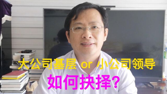 【治平漫谈】大公司做基层与小公司做领导,究竟该如何选择?(第1期)